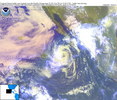 oi020919.jpg