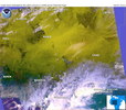 oi030414.jpg