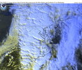 oi031120.jpg