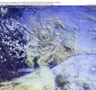 oi040103.jpg