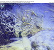oi040106.jpg