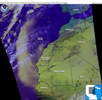 oi040306.jpg