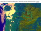 oi041005.jpg