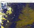oi041013.jpg
