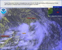 oi061006.jpg