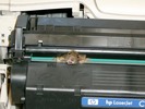 printer9.jpg